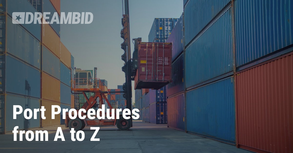 Unloading at the Port, Customs Duties, and VAT — Step-by-Step